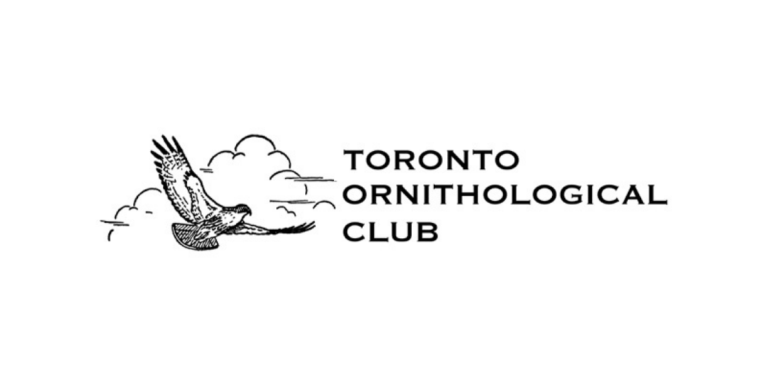 Toronto Ornithological Club logo. An illustration of a bird flying in the clouds. Text: Toronto Ornithological Club 