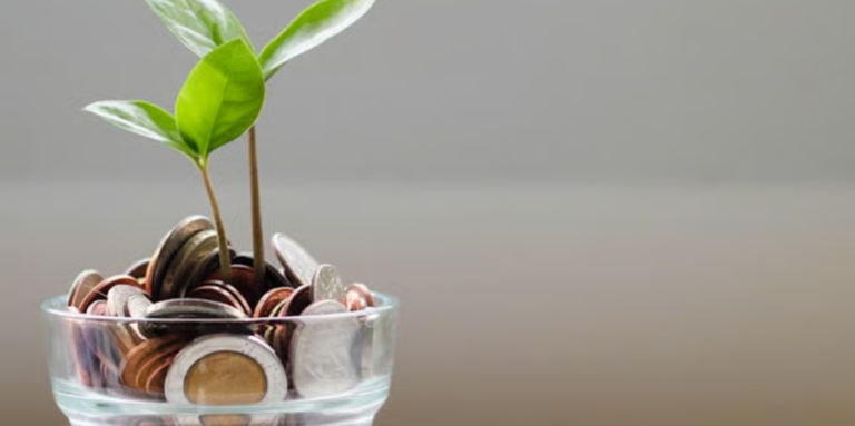 A glass jar of coins with a fake plant sprouting from the jar. 