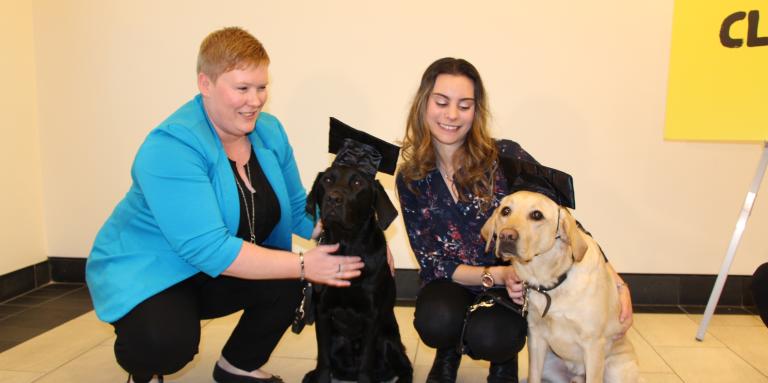 Ashley and Danson (a black Lab/Golden Retriever Cross) and Danika and Ulysses (a Golden Retriever). The dogs are wearing graduation caps.