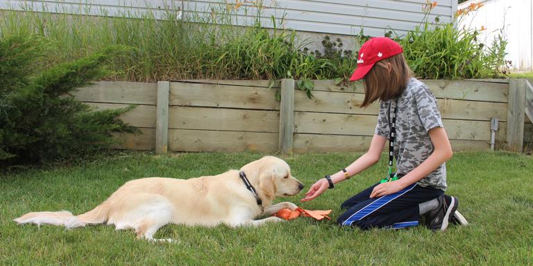 A young boy kneels on the grass and reaches towards a Golden Retriever.