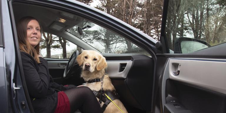 A woman sitting in the front passenger seat of a taxi and her guide dog, a golden retriever, sits at her feet between her legs.