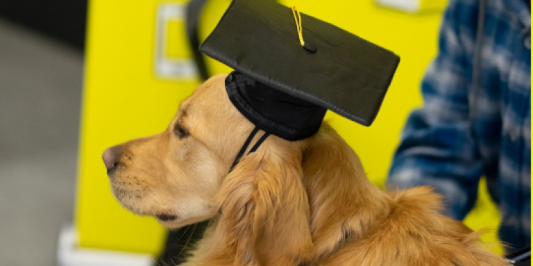 A guide dog and its handler at a graduation ceremony. The handler pets his golden retriever guide dog. The dog is wearing a graduation cap.