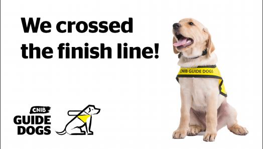 The text, “We crossed the finish line!” alongside a picture of a CNIB Guide Dogs puppy wearing a yellow vest. In the bottom left corner, there is the CNIB Guide Dogs logo