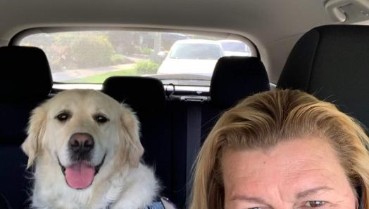 A golden retriever sits in the back seat of a car. In the front, a person takes a selfie while wearing a face covering that has a paw print logo on it.