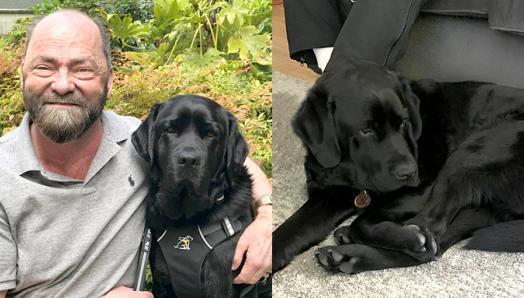 Collage de deux photos. 1 : Mike assis avec son bras autour de son chien-guide Éric. 2 : Éric, un chien noir, allongé par terre.