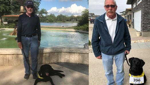 Rod standing in front of a water fountain in a park with Wallace laying on the ground in front of him; Rod stands in a driveway with Wallace sitting on the ground to his right; Rod stands with Wallace on a leash in a field.