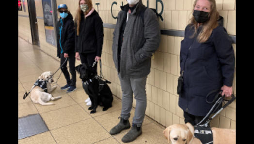 Four people with their Guide Dogs are standing against a wall at an underground Toronto city subway stop.