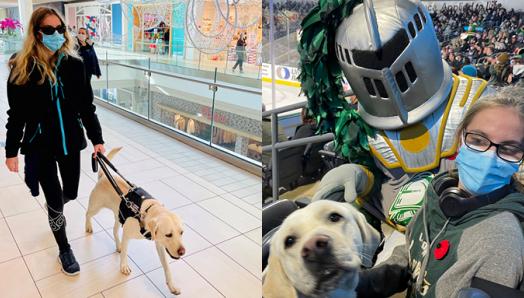 Rylan being guided by Belle while walking in a mall; Rylan and Belle at a hockey game posing in their seats with a mascot.