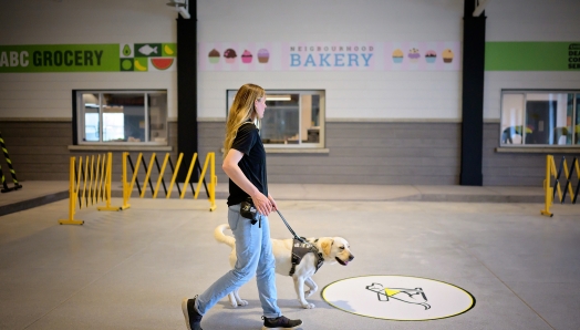 A trainer with light skin and long blond hair, wearing a black shirt and blue jeans, walks with a yellow Labrador in harness through CNIB Guide Dogs’ Indoor City, a realistic training space designed like a cityscape. Behind them are safety barriers and storefront signs reading “ABC Grocery” and “Neighborhood Bakery.”