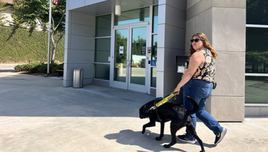 Chelsea Masson walks with her black guide dog, Rango, outside the Guide Dogs of America building on a sunny day. Chelsea is wearing a sleeveless floral top, blue jeans, and sunglasses while holding Rango’s guide harness as they walk past the entrance.