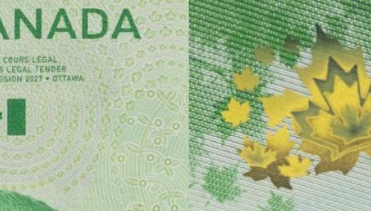 Two photographs of the front and back of the Vertical $20 bank note, focused on the top corners of each. The photos show the large, high contrast numbers.